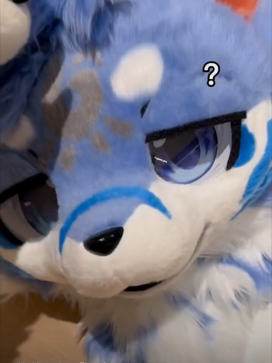 เคดิต bilibili cr:@-是泡泡哦 #furrycommunity #kemonofursuit #furry #fursuit #furryfandom 