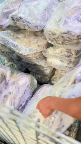 #Hidup#Berhidup#Menghidupi #repack#ikanayamayam 