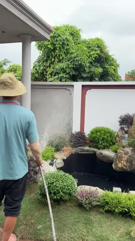 Mẫu bể koi cho gia đình 