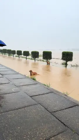 Thấy nước quên chủ 😶‍🌫️