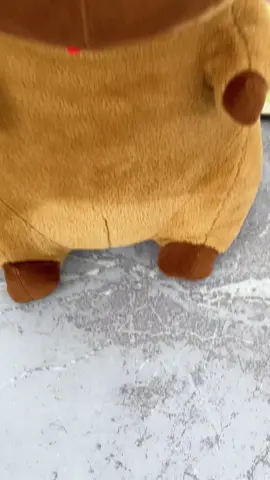 #foryou #pillows #tiktok #capybara 