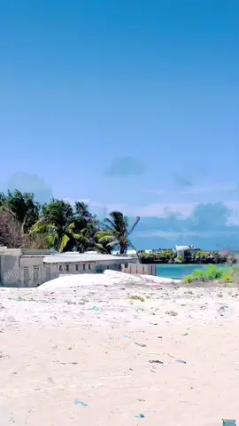 #jaziirabeach🐟🐠🐬🌴🌴 #konfurgelbed🇦🇿 #somaliticktokers🇸🇴🇸🇴 #mugdisho🇸🇴🇸🇴 #mareexanpowers🇱🇺💪 @GUREY_CARAB @Abdirashid Tarey @MAHAD NOOR MOHAMED @boqorada CADCADKA 🤍👸 @ileys❤️ @ina Mohamett🦋🥀🤍 @🌺 