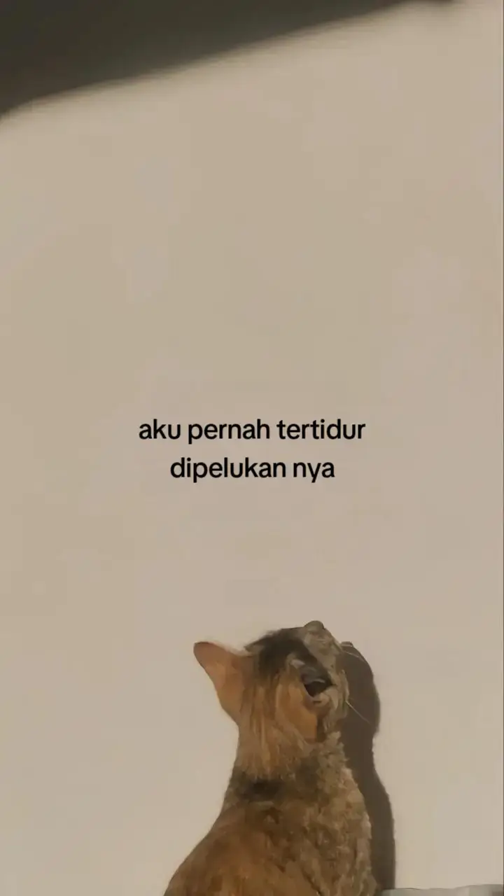 #galaubrutal #sadvibes #fyp 