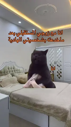 #CapCut نيهههههههههه 👏🏻#فولو🙏🏻لايك❤️اكسبلور🙏🏻🌹💫 #ليبيا_طرابلس_مصر_تونس_المغرب_الخليج #لايك__explore___ #foryou 