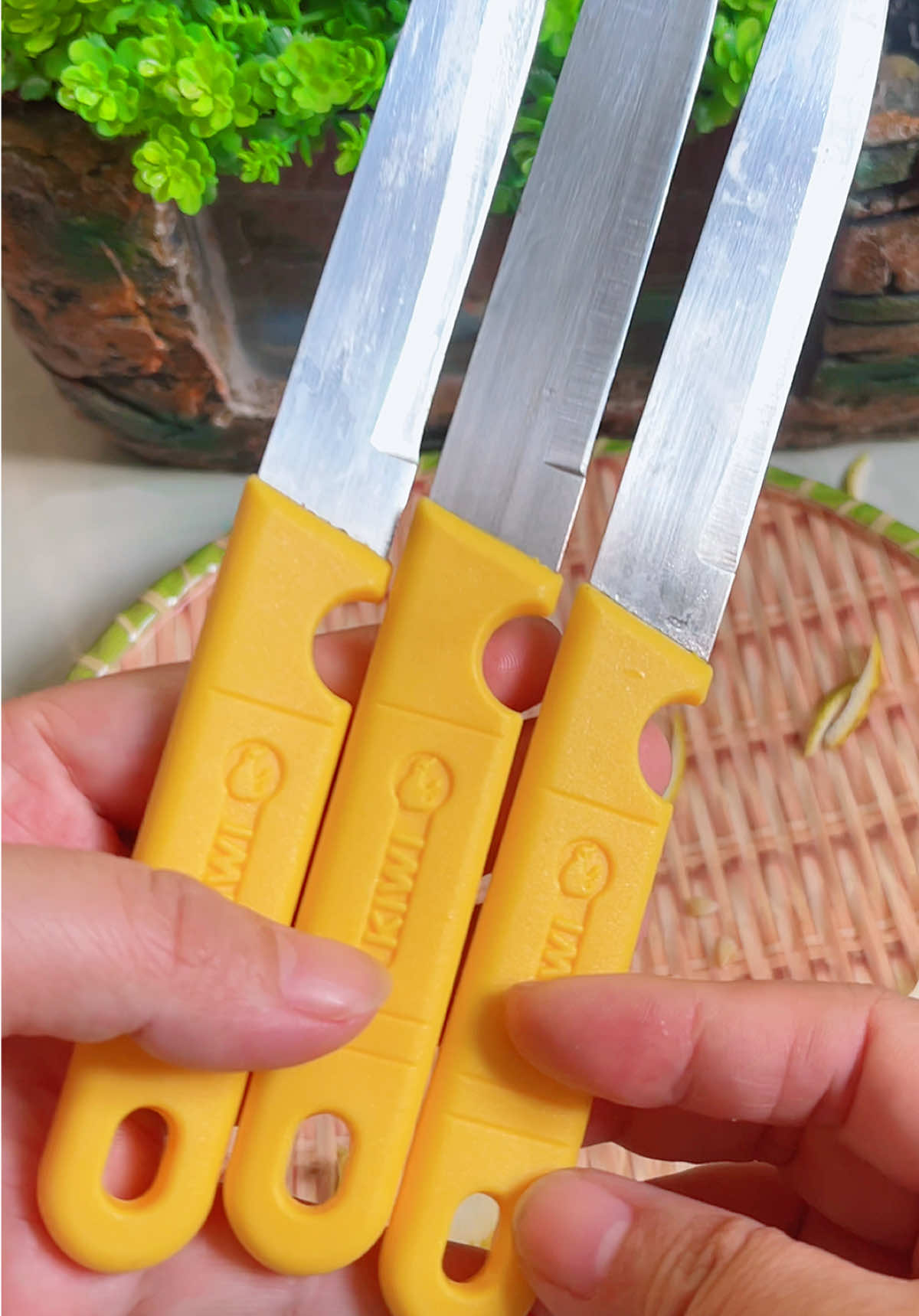 Dao thái cán vàng kiwi #dao #daokiwi #daothai 