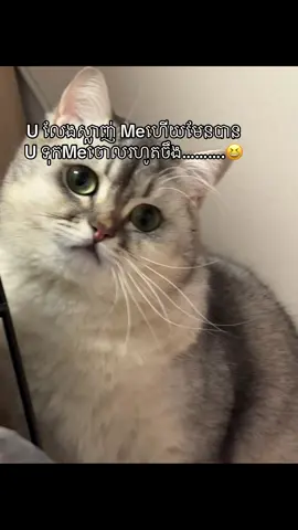 😆#fypシ #vairal #fyppppppppppppppppppppppp #som❤️mnak_muy_mk👌❤️🆗 