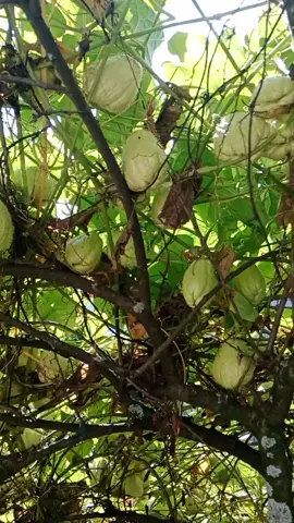 #🤣🤣🤣🤣🤣🤣🤣🤣🤣 #