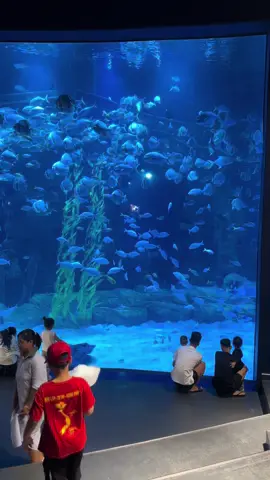 luỵ lotte chx muốn về #thuycunglottehanoi #hanoi 