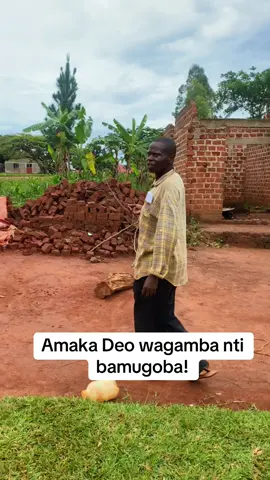 Amaka Deo wagamba nti bamugoba! #nyaffebuikwe #omwanasoda 