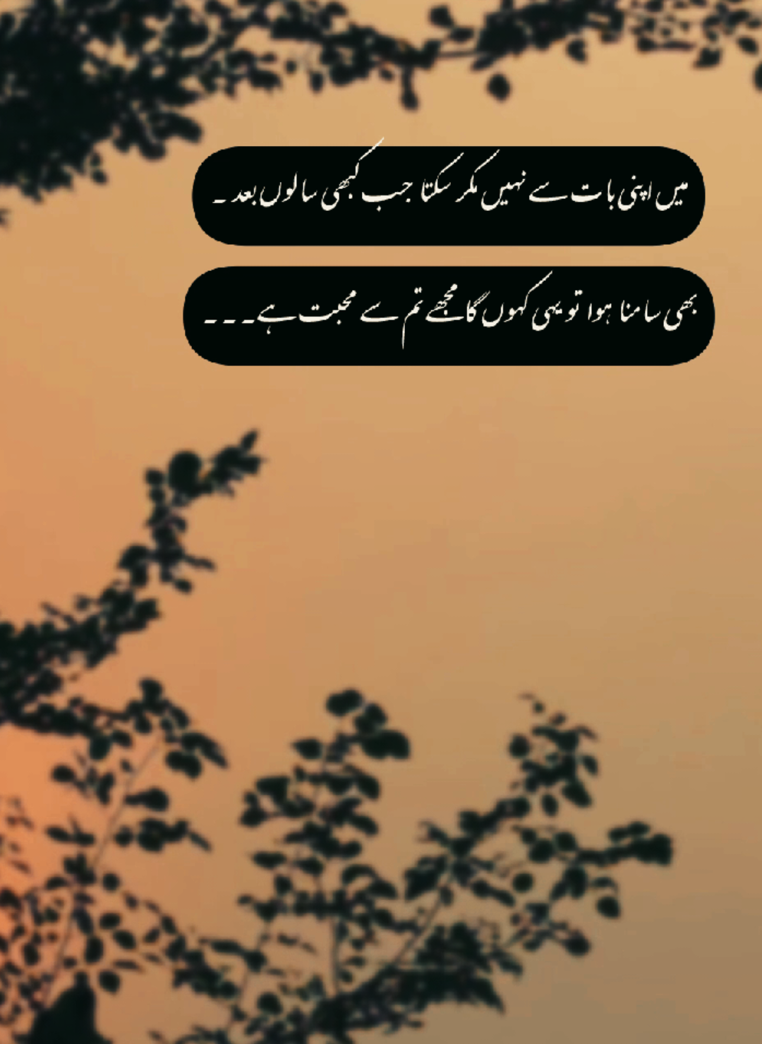 میں اپنی بات سے نہیں مکر سکتا، جب کبھی سالوں یہ بھی سامنا ہوا ہی ہوں گ #lost_Uzi8035 #foryoupage #foryoupage #plzunfrezemyaccount #plzdontunderviewsmyvedios 