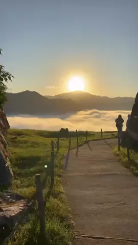 今年はいろんな景色を見れて幸せ。来年もいろんな景色を見に行きたいな #関西 #竹田城 #雲海 