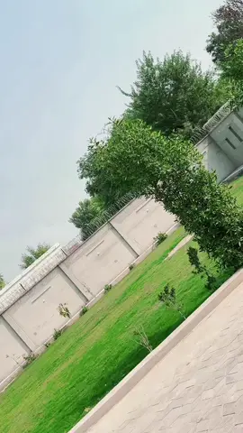 #سنگت_ویڈیو_وائرل_کریسو_آپ_ہیں🥀 #foryoupage #viralvideo #fyp @dilawarjerrylive143 @Dilawar jerry live #Dilawarjerry143 