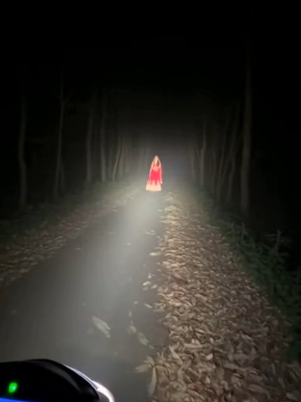 Main raat ko Jungle k Road se guzr raha tha...   Aur camera ke samne achanak churail agai 😱   Ye video sirf entertainment ke liye banai gayi hai ⚠️   #jungle #churail #hauntedroad #karachi #horrorvlog #urduhorror #aivideo #hauntedreel #paranormal #scaryreel #foryou #fyp #viralvideo #reelspk  #fypシ