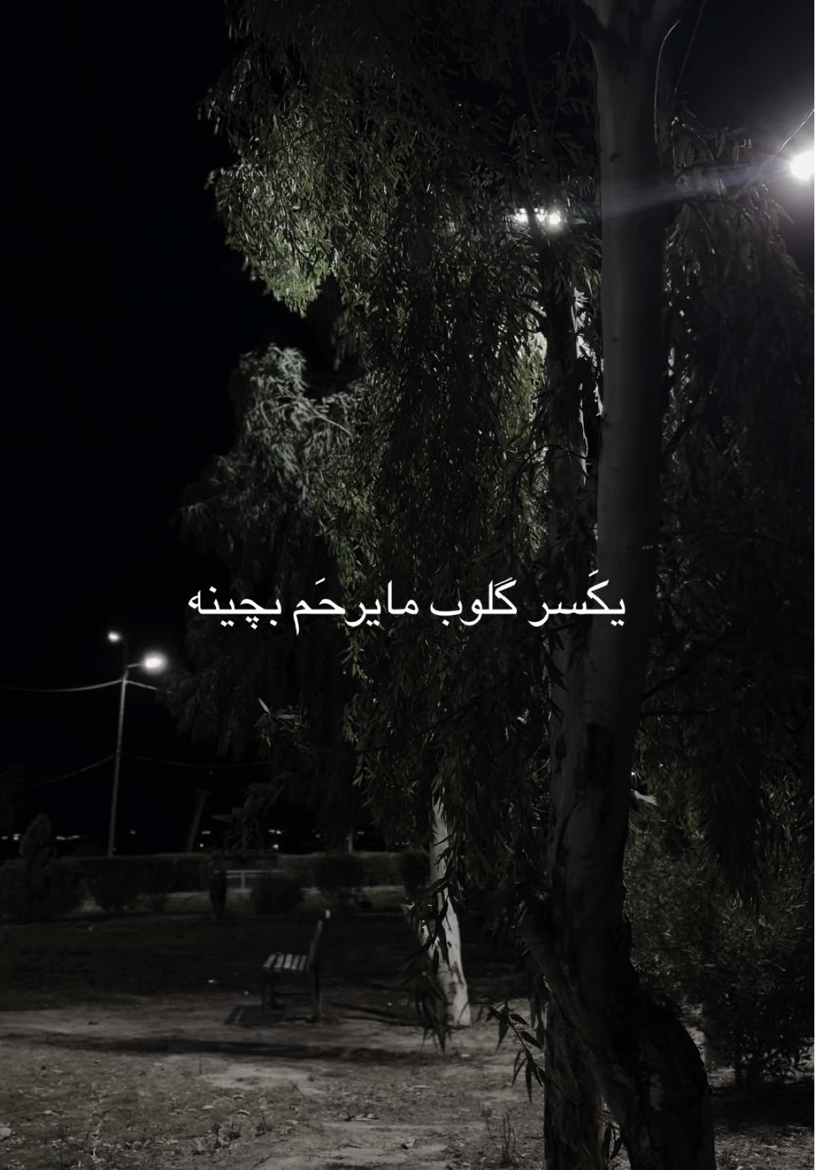 انا وكلبي يتامى شكد بجيناك ؟#قوالب_تيك_توك_جديده #قالب_تيك_توك_جديد #قوالب_تيك_توك #قالب_تيك_توك 