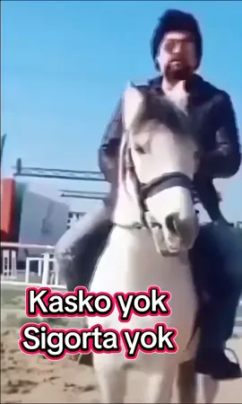 Kasko Yok, Sigorta Yok