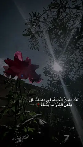 صامتٌ لو تكلما #قتباسات_عبارات_خواطر_عميقه♡ 