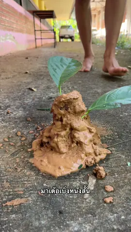 จักแม่นหยัง😢#ริวก๊อต #เด็กช่างยนต์ #เธรด 