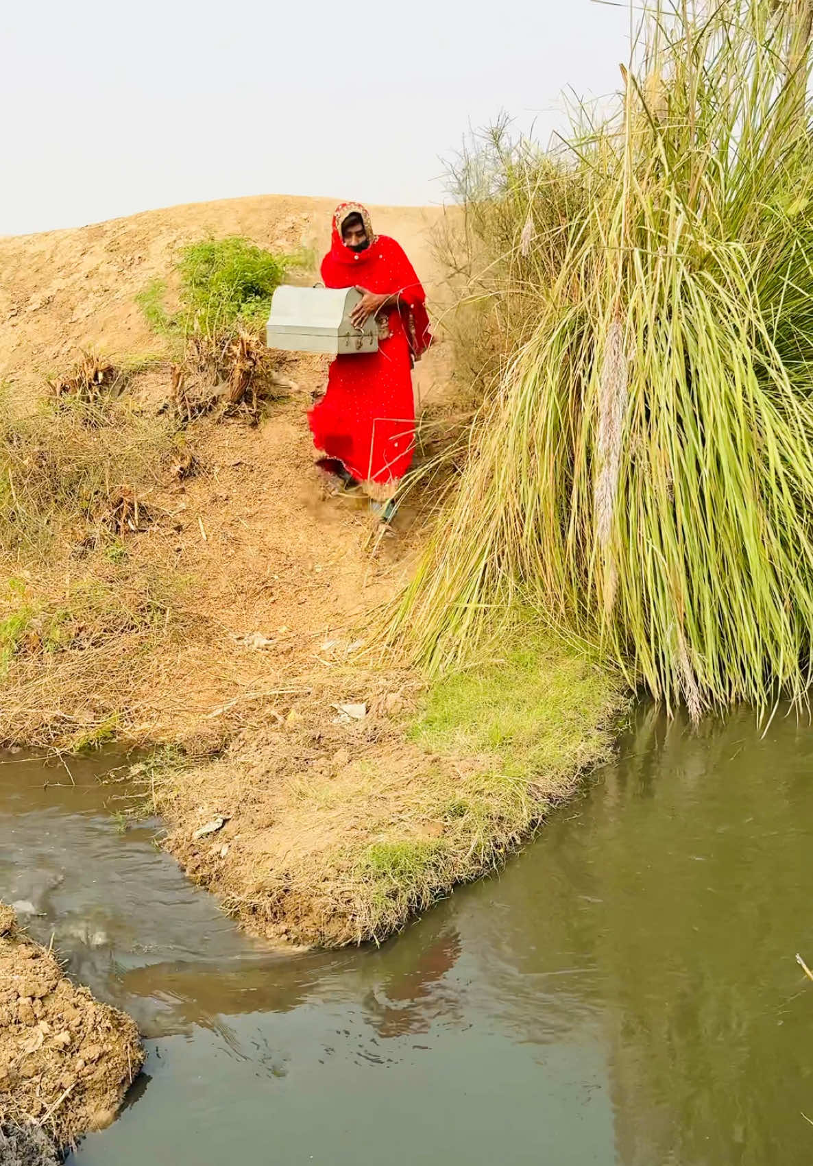 Box 📦 Mein Bacha?😳