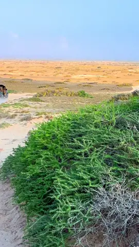 #xooga_dalka_somalia #saxuuntaduusha 