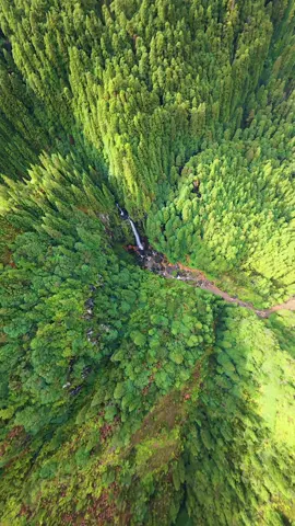 Nooooo 🫣 that was to close!  Drone Permit granted by Secretaria Regional do Ambiente e Ação Climática