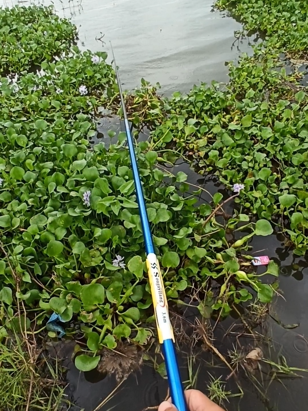 info spot bang🥲 #infospot #sougayilang #fyp 