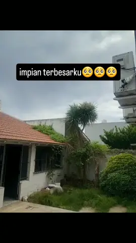 pesawat minta duit wkwk #lucu #ngakak #pesawat #uang #duit