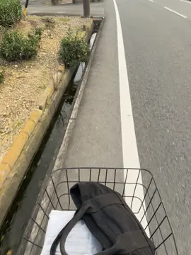 Bagian 115 \\#fyp #日本 #japanvibes #sunset #somebodyspleasure 