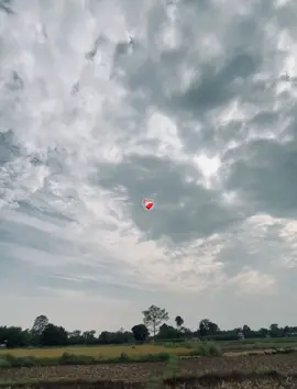 #fyp #foryou #viralvideo #support #naturelover 