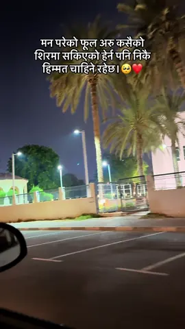 #fypシ゚viral🖤tiktok☆♡🦋myvideo❤️❤️🥰🥰 #fyppppppppppppppppppppppp #🥹💘🦋 #nepaliinuae🇦🇪😇🇳🇵❤️‍ 