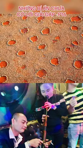 NHỮNG BÍ ẤN CHƯA CÓ LỜI GIẢI ĐÁP -P16