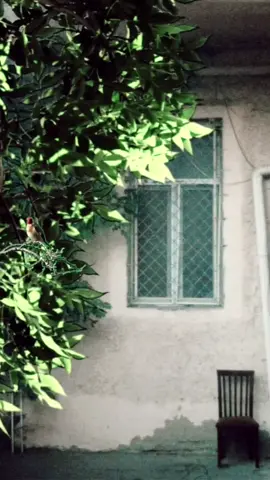 #السيد_الشهيد_محمدالصدر_قـ_الله_سره #مقتدى_الصدرأعزه_الله #القران_الكريم_ #قران 