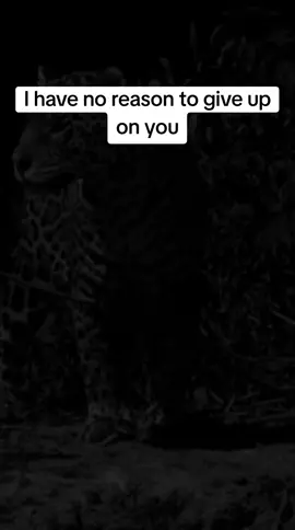I have no reason to give up on you#fyp #fypシ゚viral 