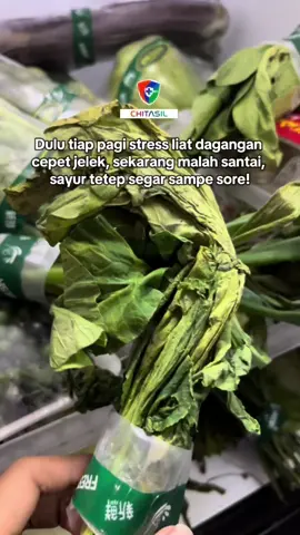 Dulu tiap pagi stress mantengin sayuran yang layu terus, sekarang udah santai lagi karena pake yang satu ini! 