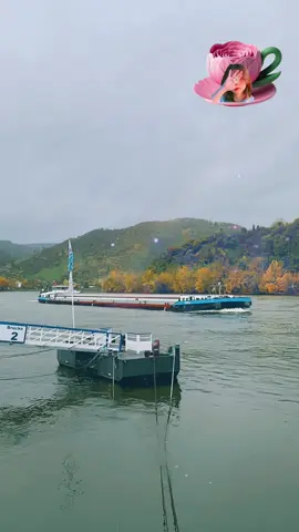 #_Roj baş_#_🦋💎☕️_# #يسعدلي__صباڪۘم_حبايبي # #__🇩🇪_اكسبلور__🇩🇪explor_ # #💫🇩🇪🕊️🇩🇪💫🇩🇪🕊️🇩🇪💫 