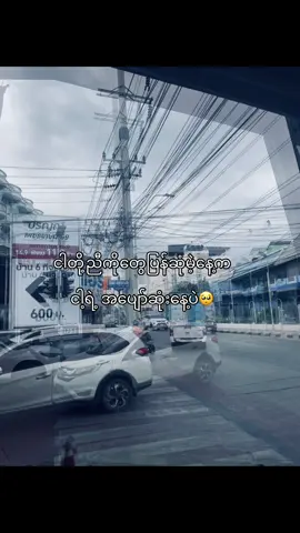 ပျော်ဆုံးနေ့လေးပေါ့ကွာ#on4t #@T🫟 @💢မောင်တွတ်ပီ💢(🦧) @zenn🎩 @T💤 @Mg shine @ZpyyE @𝐋𝐮𝐞𝐫𝐲✰ @omegarhukoe @”မြေပြန့်သားလေး