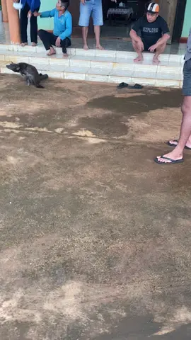 Daklak nhửg ngày cuối vụ🫶#xuhuongtiktok #ilovetiktok #47daklak #TikTokAwardsVN 