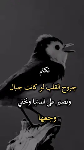 #عباراتكم_الفخمه📿📌 #اجمل_عبارة_راح_ثبتها📌 #افضل_عبارة_لها_تثييت، 