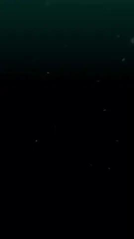 #agatonclan | lupa pasang intro njir🗿@kupu-kupu kecill٭ #presetalightmotion #presetdiatas5mb #preset?xml🎟 #sektewargapreset @SEKTE WARGA PRESETT! @Official Aga⸸✶n ርⱡan 💦 