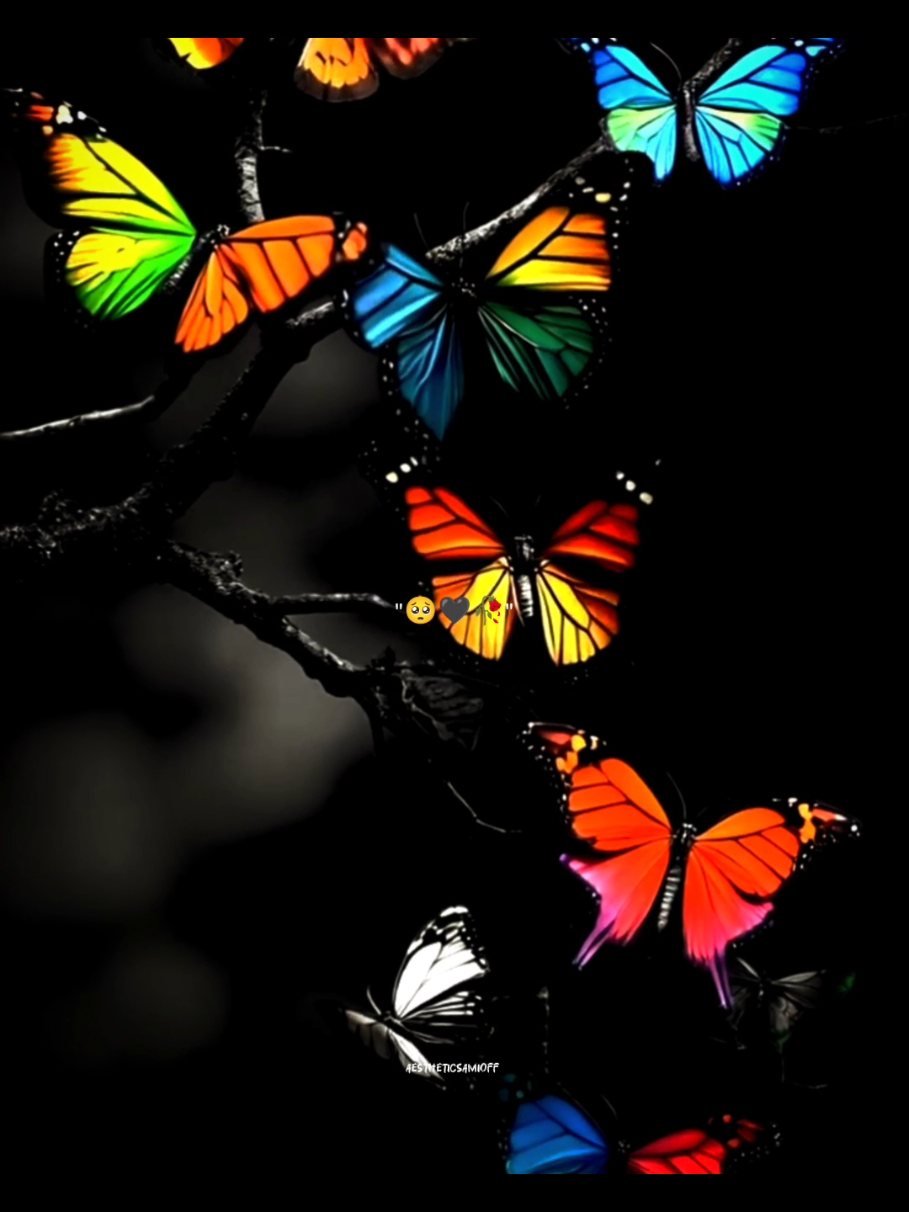 𝐏𝐚𝐫𝐭|𝟐𝟖𝟒 𝕂𝕠𝕚 𝕋𝕖𝕣𝕖 ℙ𝕚𝕔𝕙𝕒𝕪 𝕄𝕒𝕣 ℂ𝕙𝕖𝕪𝕒.🥺🖤🥀 . . . . . . . . . . . . #aestheticsamioff #pfy #pfypシ #unfrezzmyaccount #unfrezzmyaccount 