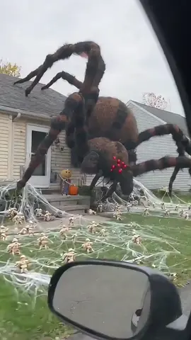 Make Halloween Scary Again! This House Build Will Send Chills Down Your Spine👻🏠#halloween #halloweencostume #monstober #diyhalloweencostumes #creepycarnival