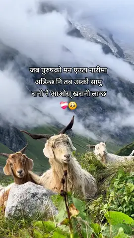 जब पुरुषको मन एउटा नारीमा अडिन्छ नि तब उस्को सामु रानी नै आओस् खरानी लाग्छ ❤️‍🩹🥺 #keeploving❤️ #goreyyyy🖤 #सानी❤️ #fyp @kalpana Xetri 