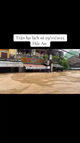 Thương lắm Miền Trung ơi #mientrungmualulut #hoian #lulut2025 #quangnamquetoi 