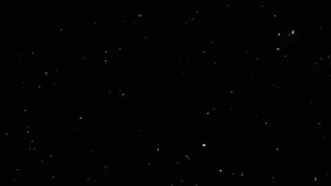 #سمير_صبيح #شعراء_وذواقين_الشعر_الشعبي🎸 #شعب_الصيني_ماله_حل😂😂 #هاشتاقات_تيك_توك #ايادعبدالله_الاسدي 