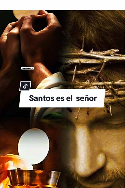 Santo es el señor#musicacatolica #santoeselseñor#santo #maricelatorres 