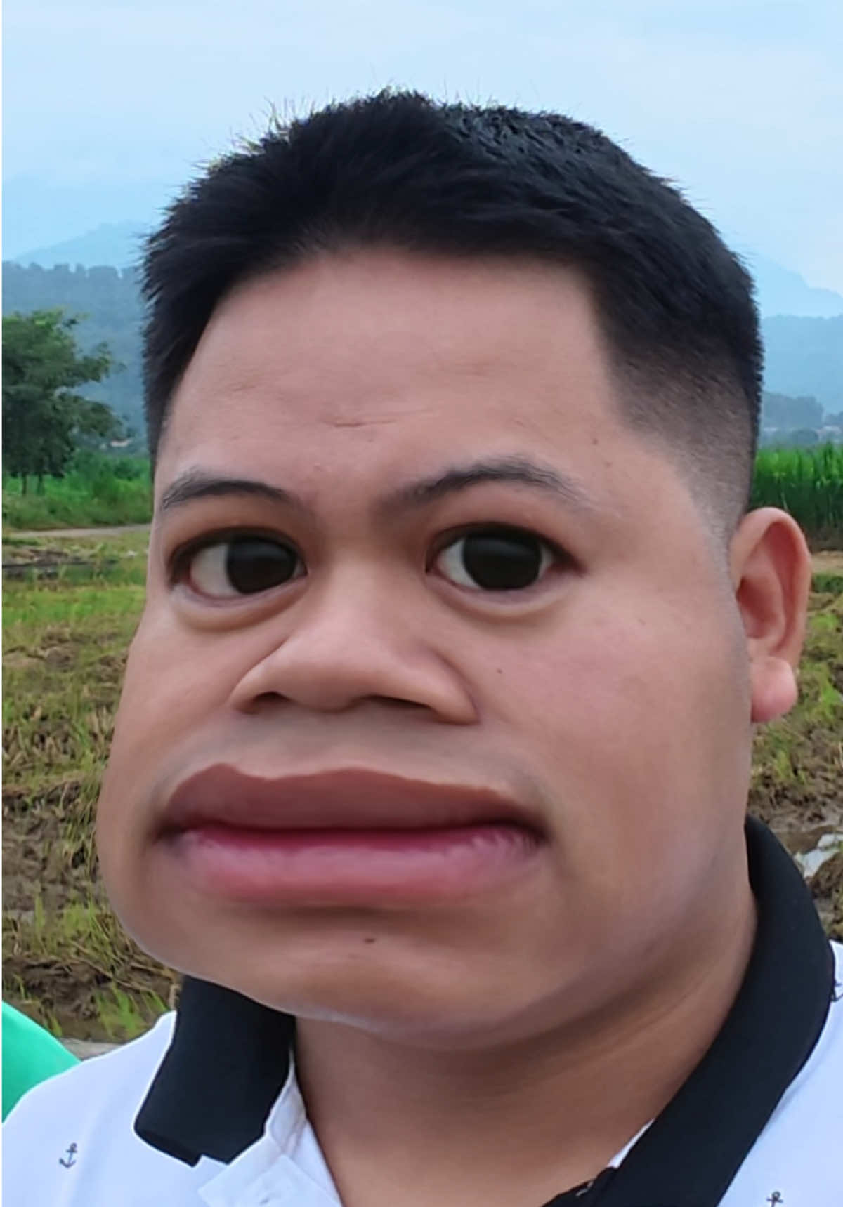 Lông mày sâu róm cả xóm có bầu #longbotuoi #vtmgr #cobova #cobovamilk 