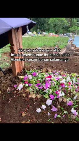 #xyzbca #fyp #ibu #galabungamatahari🌻 