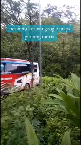 salah satu kelemahan google maps, jalan kecil saja dianggap bisa dilewati oleh bus, mobil terperosok karena berusaha putar balik namun tak ada tempat untuk putar balik, mending pake waze, google maps keseringan eror dablek #googlemaps #gunungmuria 
