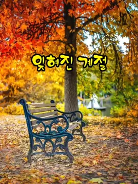 #이용 #잊혀진계절 #시월의마지막밤 #좋은글 #예쁜영상  틱톡 아이디 @oieiw1 ❥ 10월의 마지막 밤 / 잊혀진 계절​ 친구라는 말보다 아름다운 것은 없습니다. 우정보다 소중한 것도 없습니다. 아름다운 글 한 줄, 격려의 말 한마디 나누는 소중한 우정이길 바랍니다. 가끔 사랑이라는 말이 오고 가도 부담 없이 마음 편한 친구 외롭고 우울할 때 아무 말 없이 다가와 '힘내'라고 말해 줄 수 있는 당신이 바로 친구이기 때문입니다. 사랑하는 친구들 10월 마무리 잘 하시고 11월에도 행복하기로 해요. - '좋은 글' 인용 -   