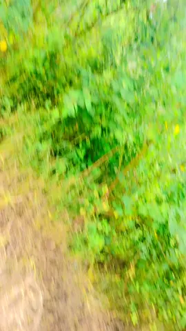 #বাংলাদেশ #আইডি #viraltiktok #মালেশিয়া #@হাসি 