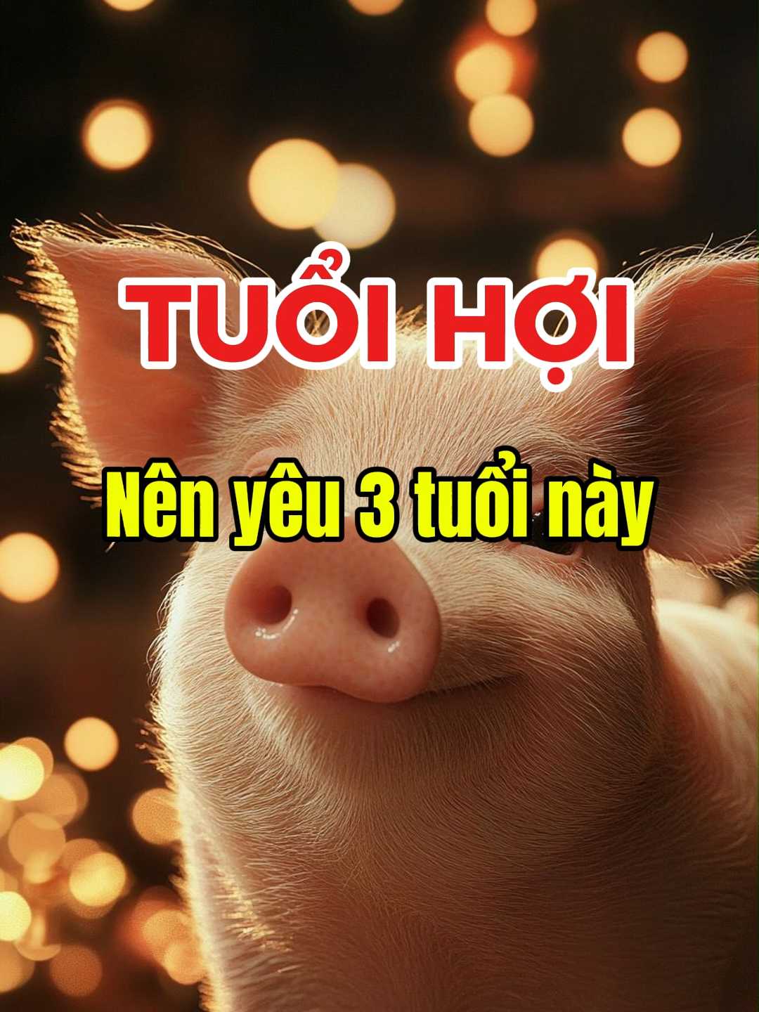 Tuổi Hợi nên yêu 3 tuổi này! #tuvi12congiap #12congiap #xuhuongtiktok #tuvi #viral #tuoihoi #tinhduyen #capcut